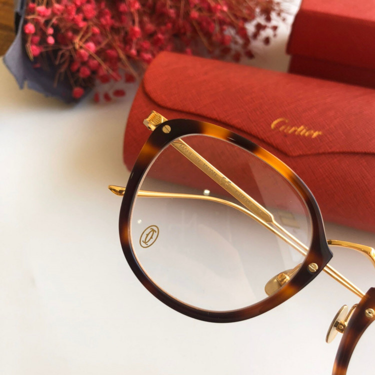 Sunglasses Cartier CT0014s