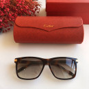 Солнцезащитные очки Cartier CT0160s