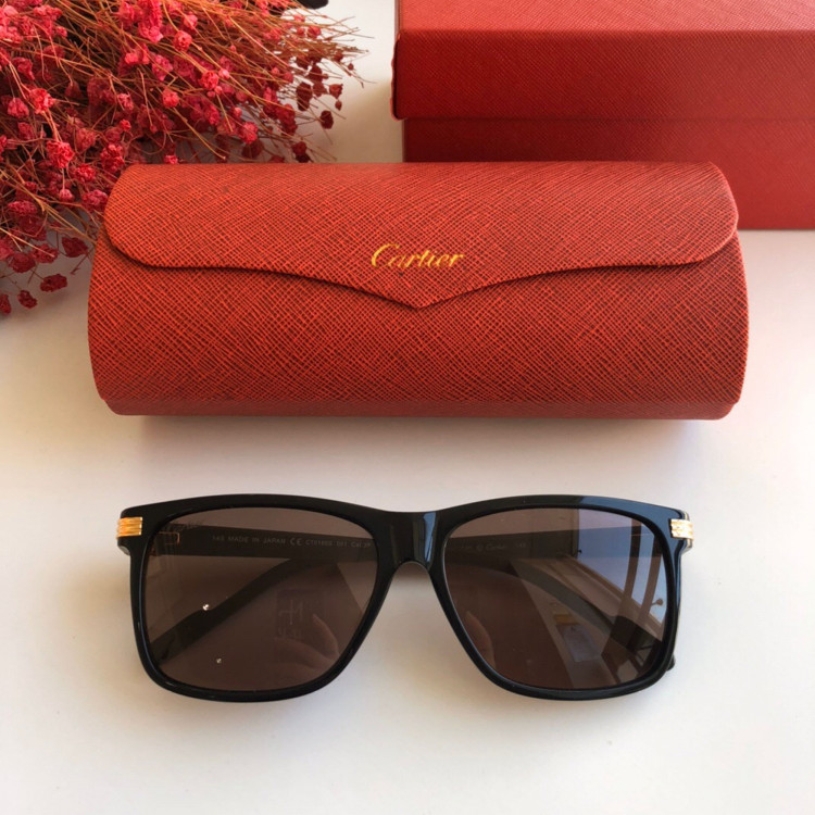 Солнцезащитные очки Cartier CT0160s