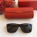 Солнцезащитные очки Cartier CT0160s