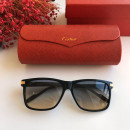 Солнцезащитные очки Cartier CT0160s
