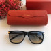 Солнцезащитные очки Cartier CT0160s