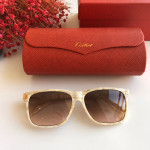 Солнцезащитные очки Cartier CT0160s
