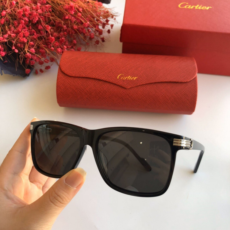 Солнцезащитные очки Cartier CT0160s