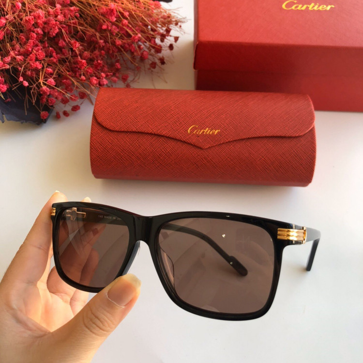 Солнцезащитные очки Cartier CT0160s