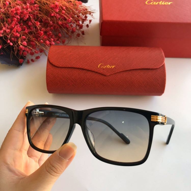 Солнцезащитные очки Cartier CT0160s