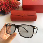 Солнцезащитные очки Cartier CT0160s