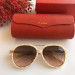 Солнцезащитные очки Cartier CT0159S