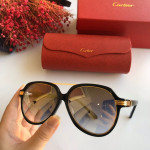 Солнцезащитные очки Cartier CT0159S