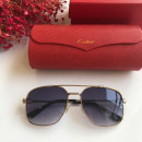  Sunglasses Cartier CT0108