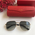  Sunglasses Cartier CT0108