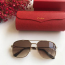  Sunglasses Cartier CT0108