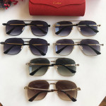  Sunglasses Cartier CT0108