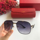  Sunglasses Cartier CT0108