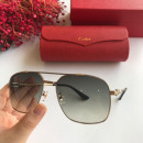  Sunglasses Cartier CT0108