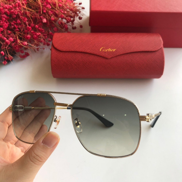  Sunglasses Cartier CT0108
