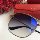  Sunglasses Cartier CT0108