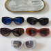 Sunglasses Balenciaga BB0070S