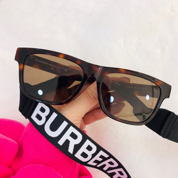Sunglasses Burberry BE4293